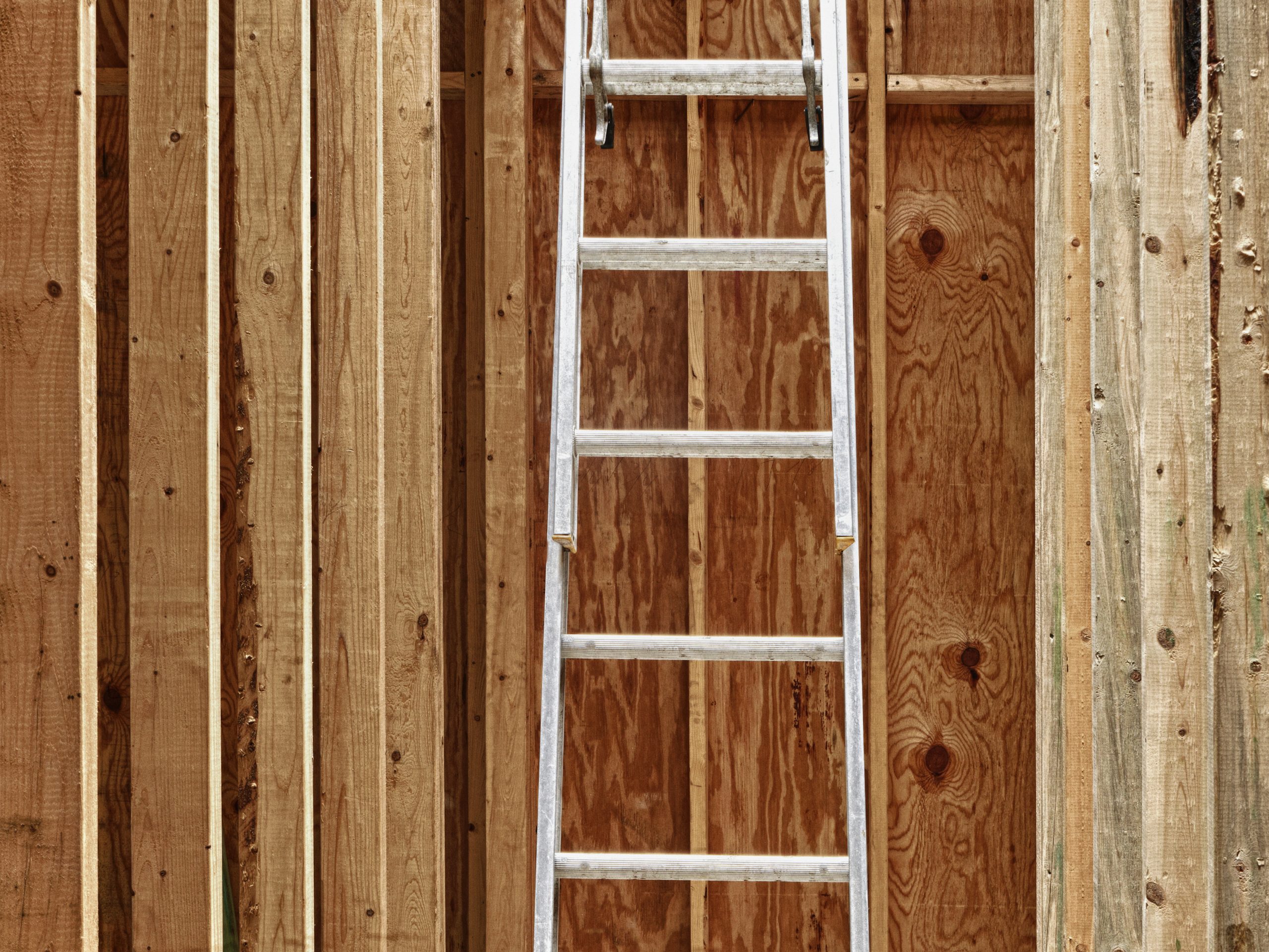 Stolen Extension Ladder